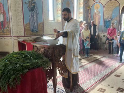 IMG-d153f0fec1831f0af430b8f44c0fe6cf-V_resize