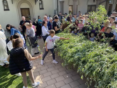 IMG-d34cf65e6cf8b76bd540a22e16b3c8f5-V_resize