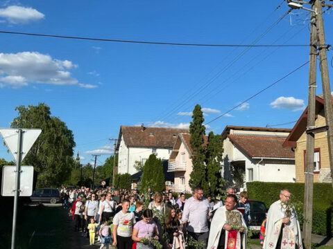 IMG-d7bf55c7982cc527b1c4488fc8f9a4d4-V_resize