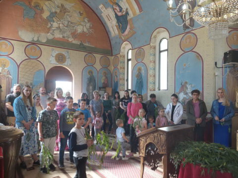 IMG-d7f28689d3553fcfae42c5234be772b8-V_resize