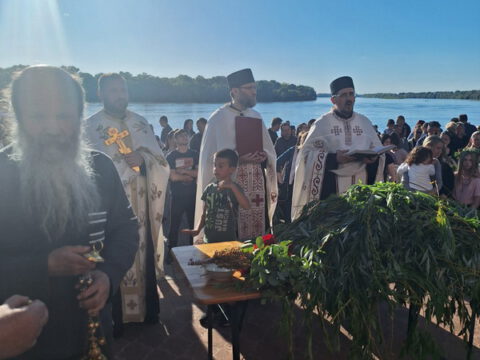 IMG-d82e8dc9f88c15bf8c9b7e16e13b0cf0-V_resize