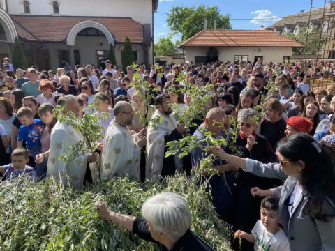 IMG-dff967bb761675e732f52a6ffc1f3d52-V_resize