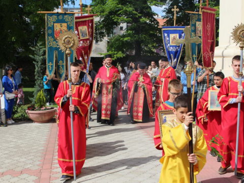 IMG-e8a18a75f964ad1c4f753078eadd410c-V_resize