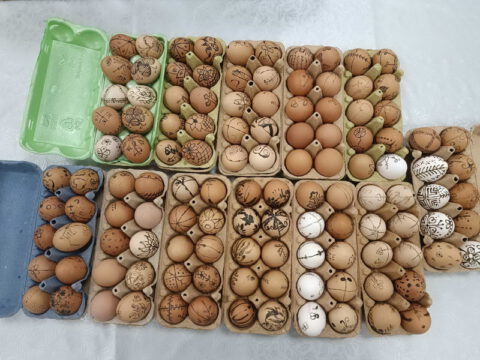 IMG-eb775e46de4c2ad6f1f9a93d8d6a5f84-V_resize