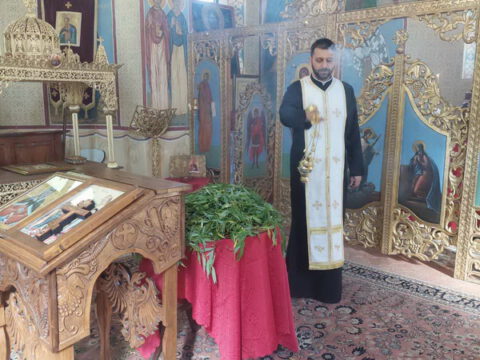 IMG-f04ab3096a0e01fcf08c7274da349223-V_resize