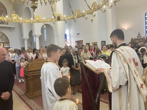 IMG-f0b1ff2a2d8900a9cce0f549523ad9f6-V_resize