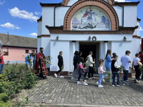 IMG-f6ad71545c1da2a7a599f7851cd5a0e0-V_resize