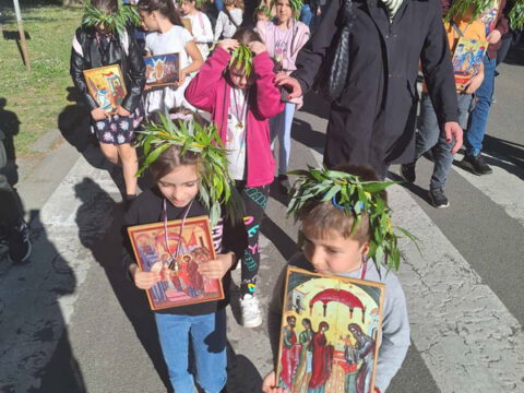 IMG-fe7fe51dc7e90ae45239c6378a67c4d1-V_resize