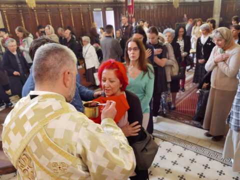 IMG_20240406_092038_resize