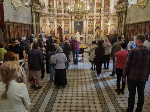 IMG_20240406_092843_resize