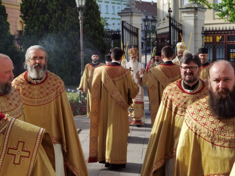 IMG_20240407_085737_resize