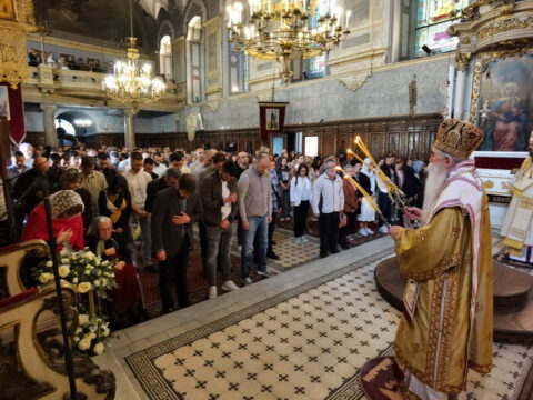 IMG_20240407_092224_resize