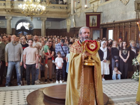 IMG_20240407_102153_resize