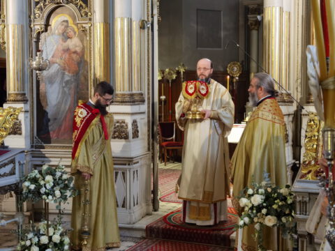 IMG_20240407_102214_resize