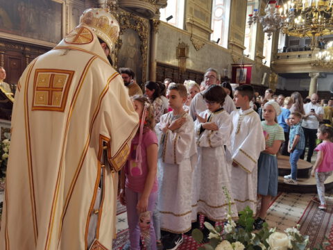 IMG_20240407_112325_resize