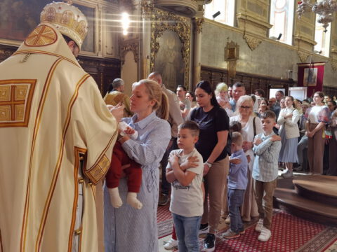 IMG_20240407_112428_resize