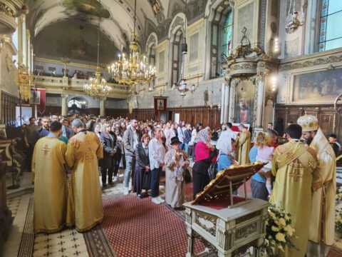 IMG_20240407_112555_resize