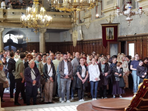 IMG_20240407_113322_resize