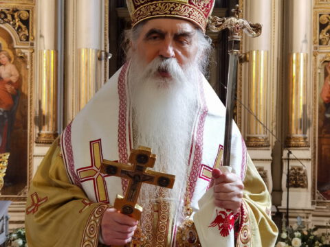 IMG_20240407_114115_resize