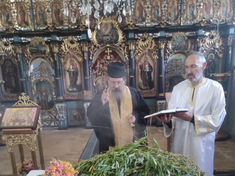 IMG_20240427_172638_resize