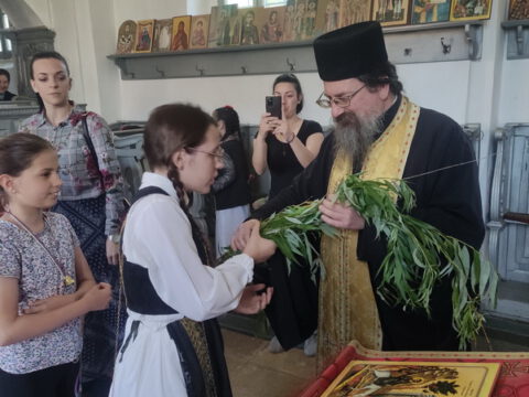 IMG_20240427_173027_resize