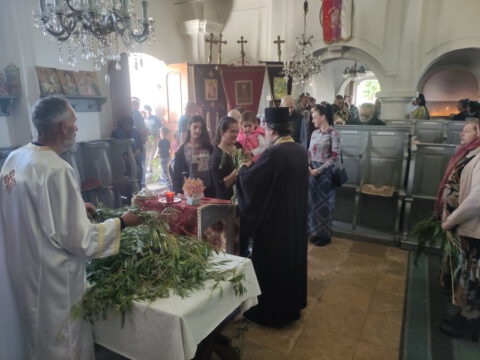 IMG_20240427_173159_resize