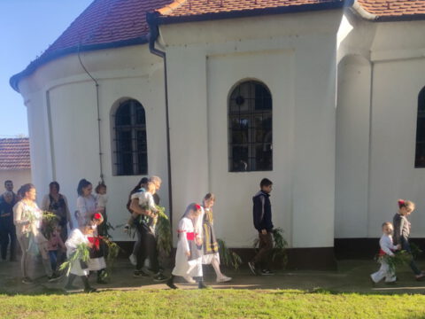 IMG_20240427_174308_resize