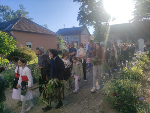 IMG_20240427_175040_resize