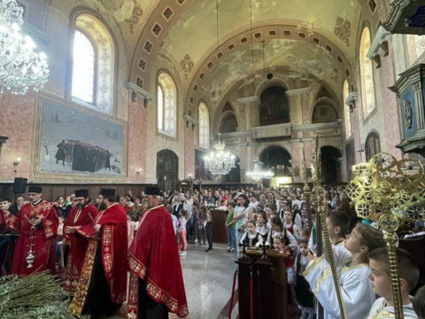 IMG_20240427_221416_470_resize