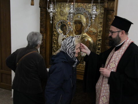 IMG_2548_resize_resize