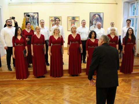 IMG_2739_resize_resize