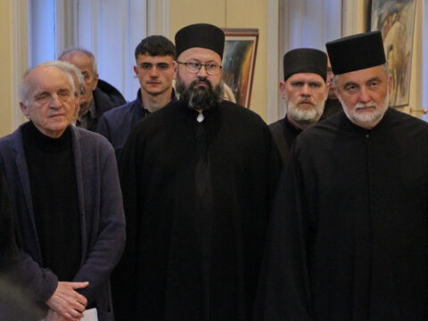 IMG_2748_resize_resize