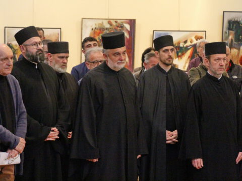 IMG_2778_resize_resize