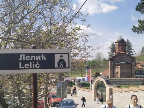 ЛЕЛИЋ1_resize