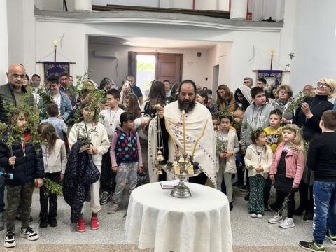 viber_image_2024-04-28_12-06-12-380_resize