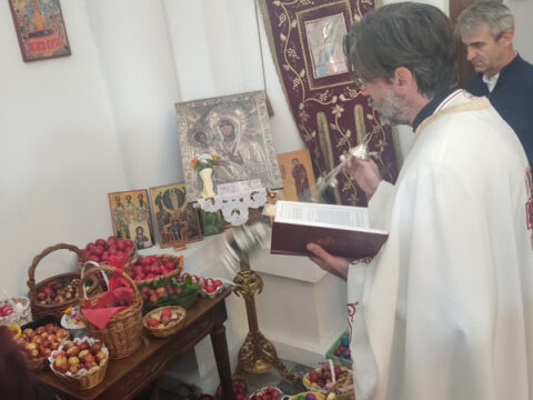 1714928198378_resize