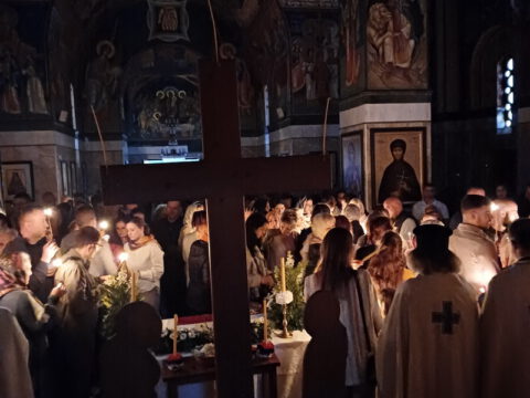 20240505_050622_resize