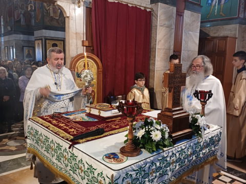 20240505_055437_resize