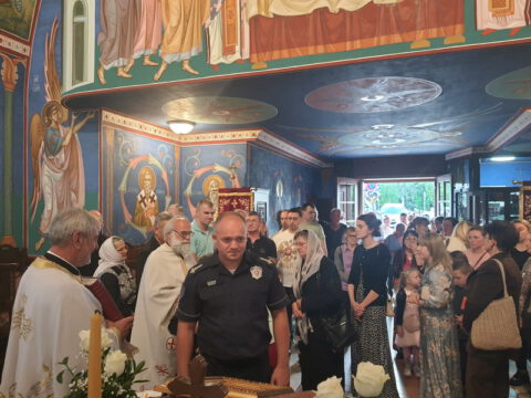 20240506_183117_resize