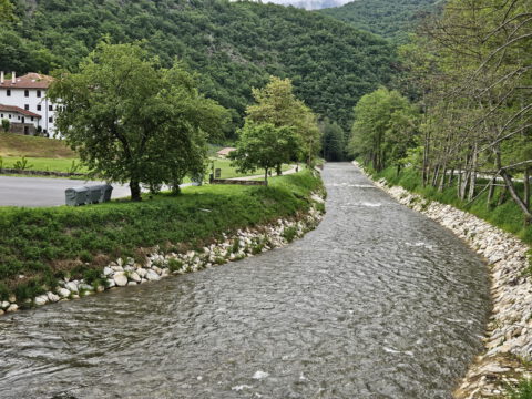 20240517_062223_resize