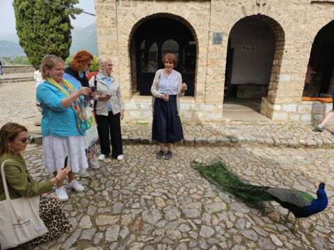 20240518_152843_resize