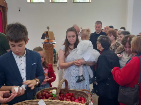 404756f8-9a41-4f7d-9076-f8216ad38252_resize