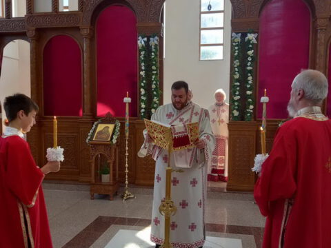 42e3c7de-45f7-4b10-9ede-2e9bc97294c8_resize