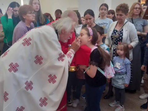 87d72c94-087a-49cc-b2a0-56a7e296ba2d_resize