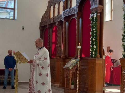 90d18823-a9dc-4fdc-83f2-6fa35e152267_resize