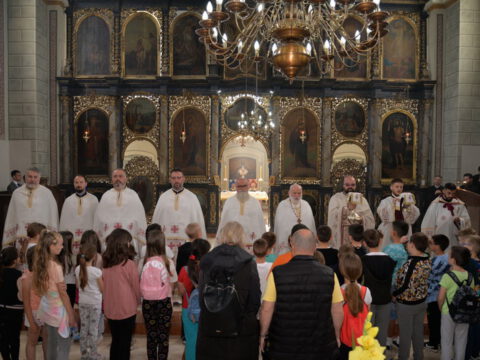 GNB_1681_1198x800_resize