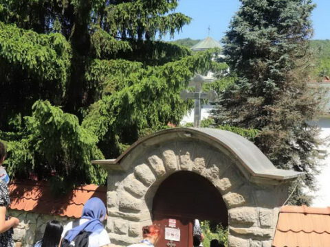 IMG-0aacc9be41f4461dc1b60630fdeb2a8b-V_resize