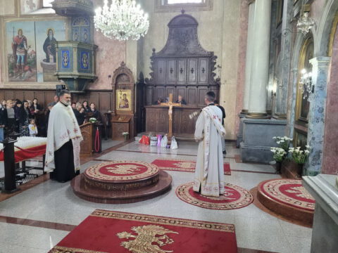 IMG-69799ce7099ba690d2dc2adbaa864692-V_resize