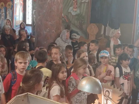 IMG-b791e0bac5339ad35f4b80cb9ba8269f-V_resize