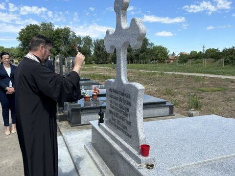 IMG-dc8b513a60a8921253713bc7b4eefe9f-V_resize